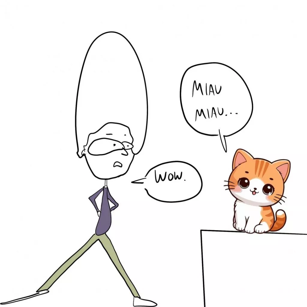 wow